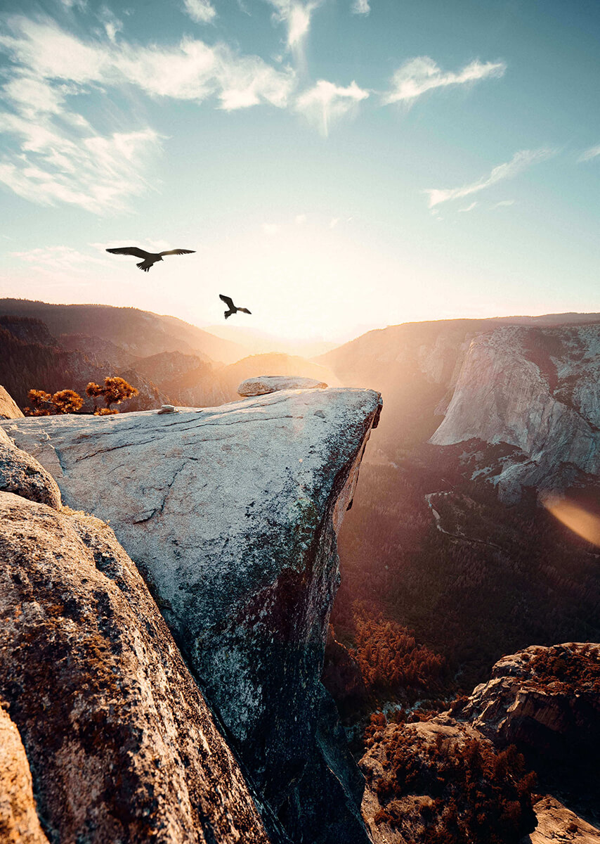 Eagles over cliff